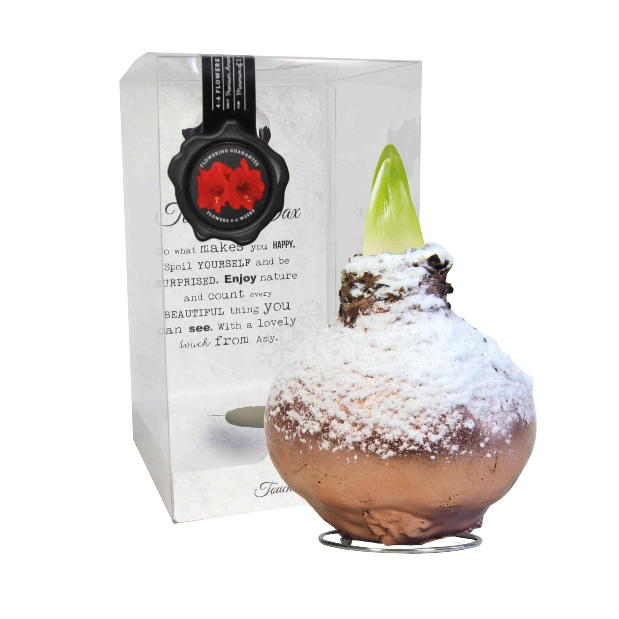 ToW Snow copper