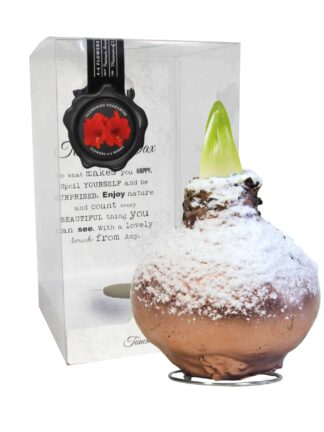 ToW Snow copper