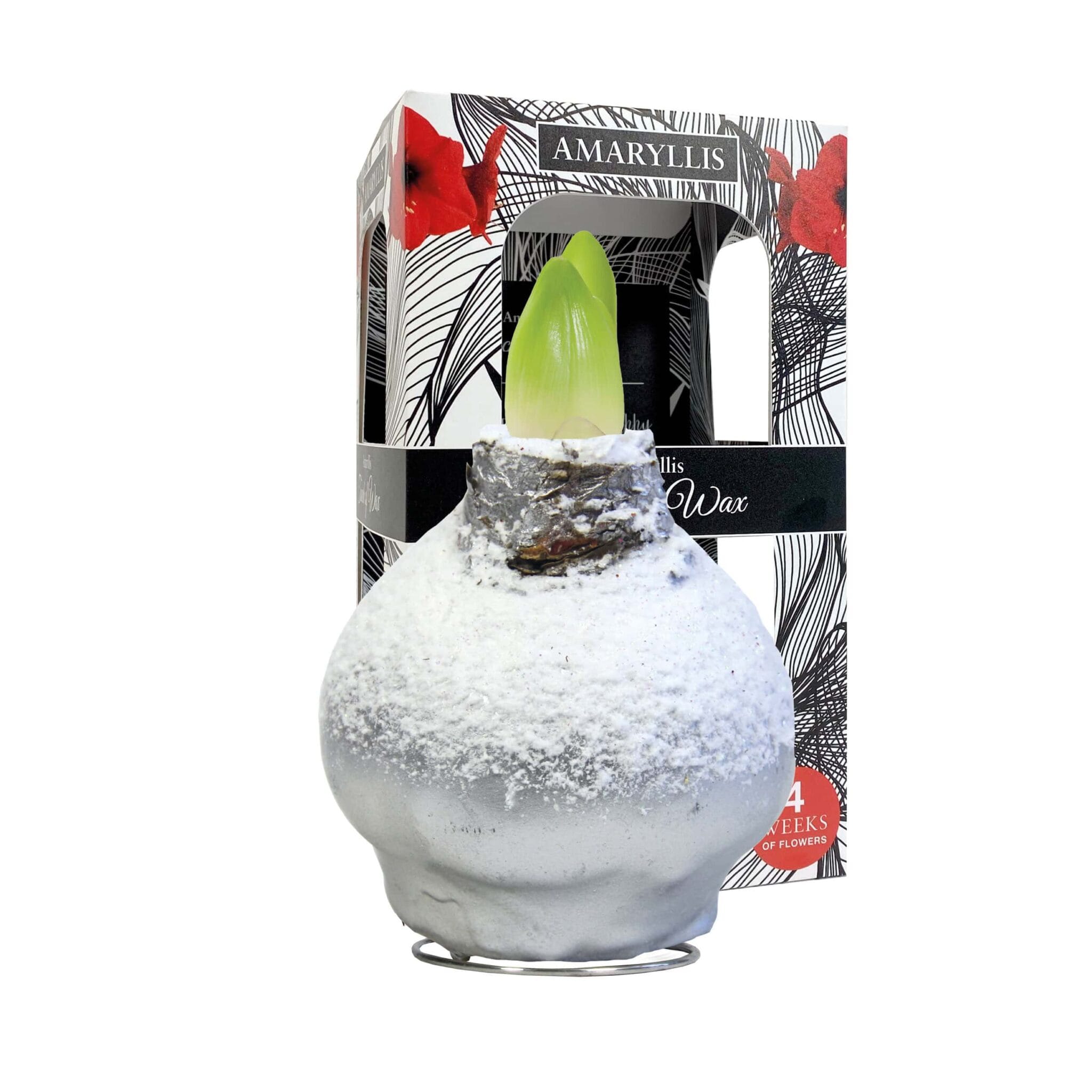 ToW Snow silver