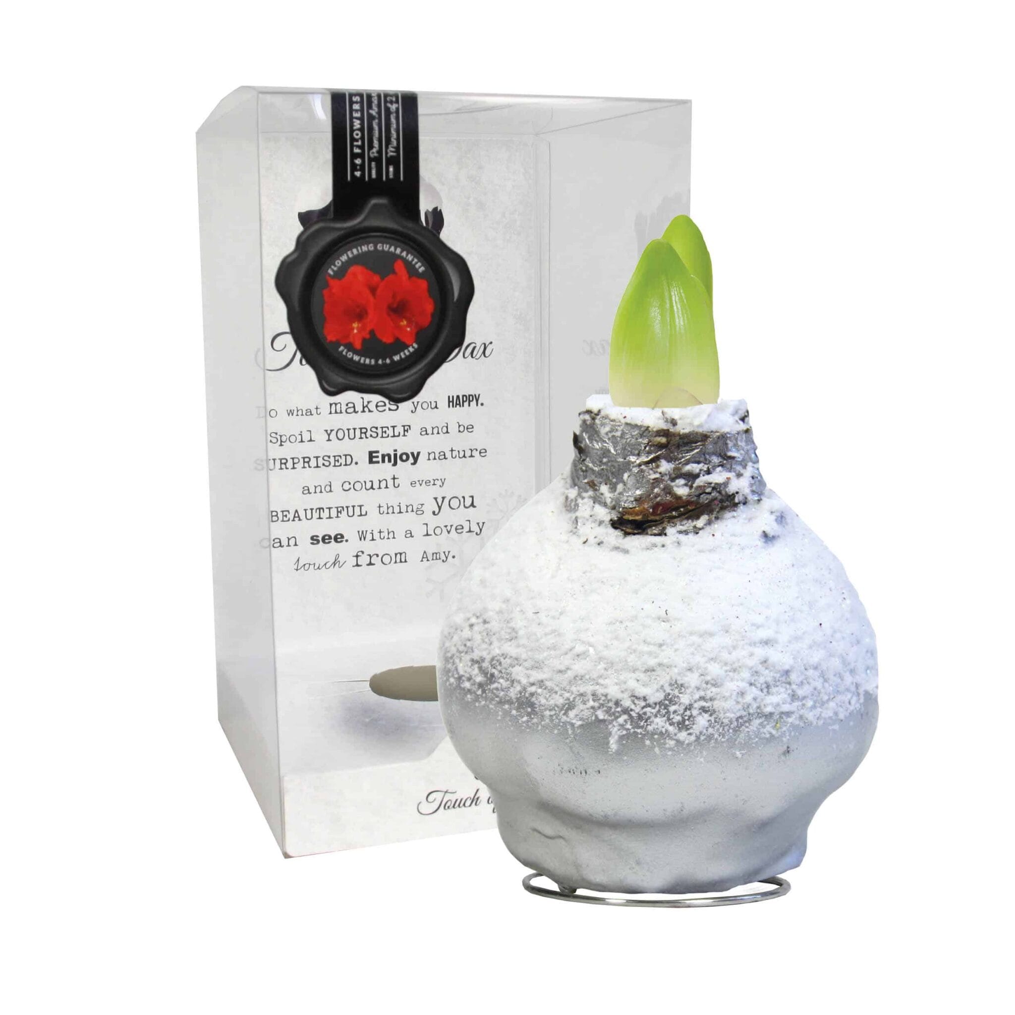 ToW Snow silver