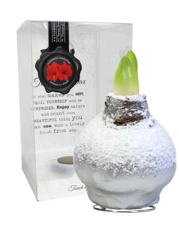 ToW Snow silver