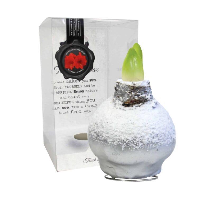 ToW Snow silver