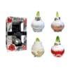 SN/01 mixed colours in carton gift box / red flower