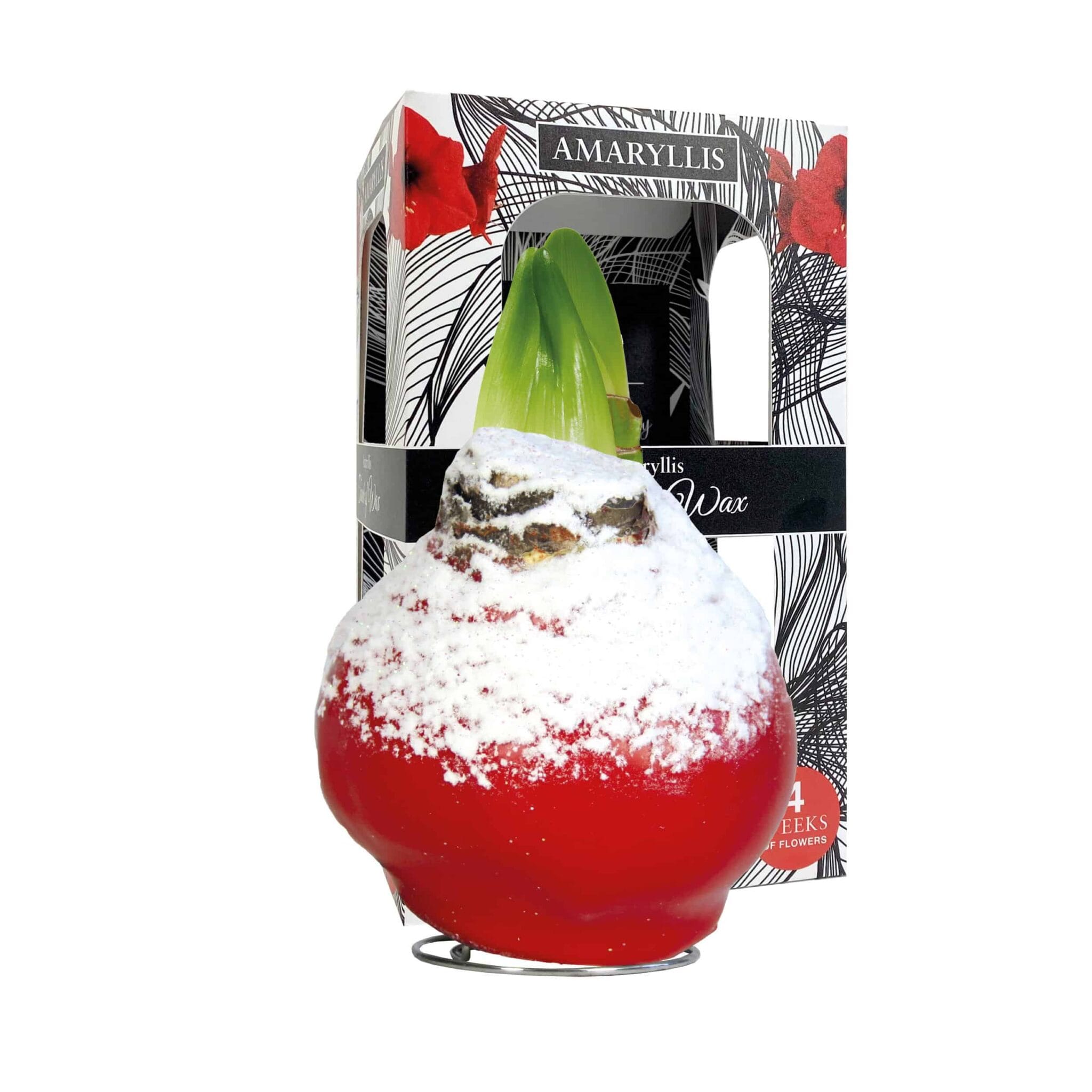 ToW Snow red