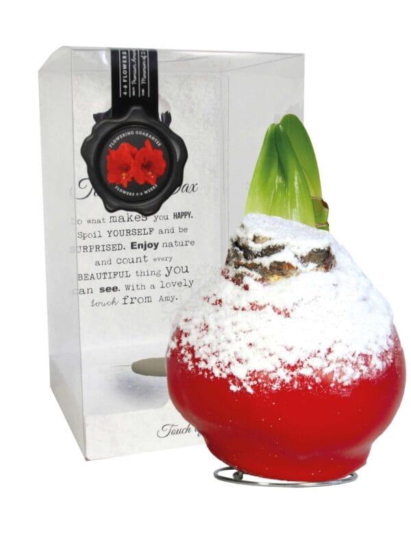 ToW Snow red