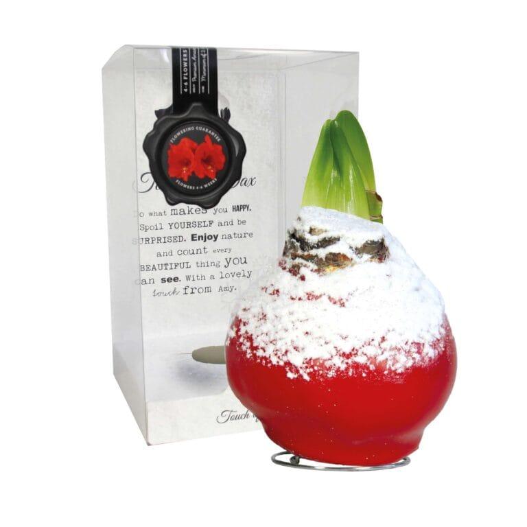 ToW Snow red