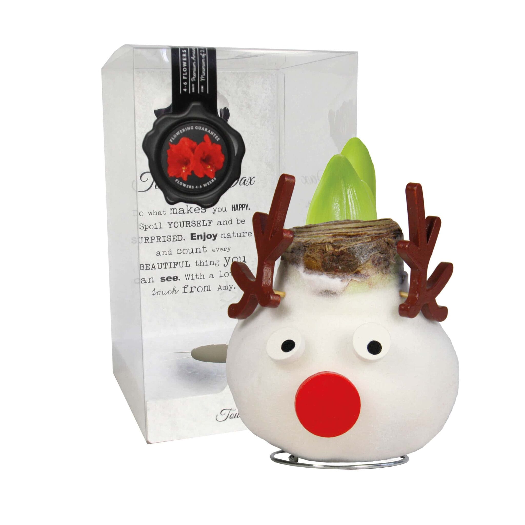 SE/04 in PET gift box / red flower