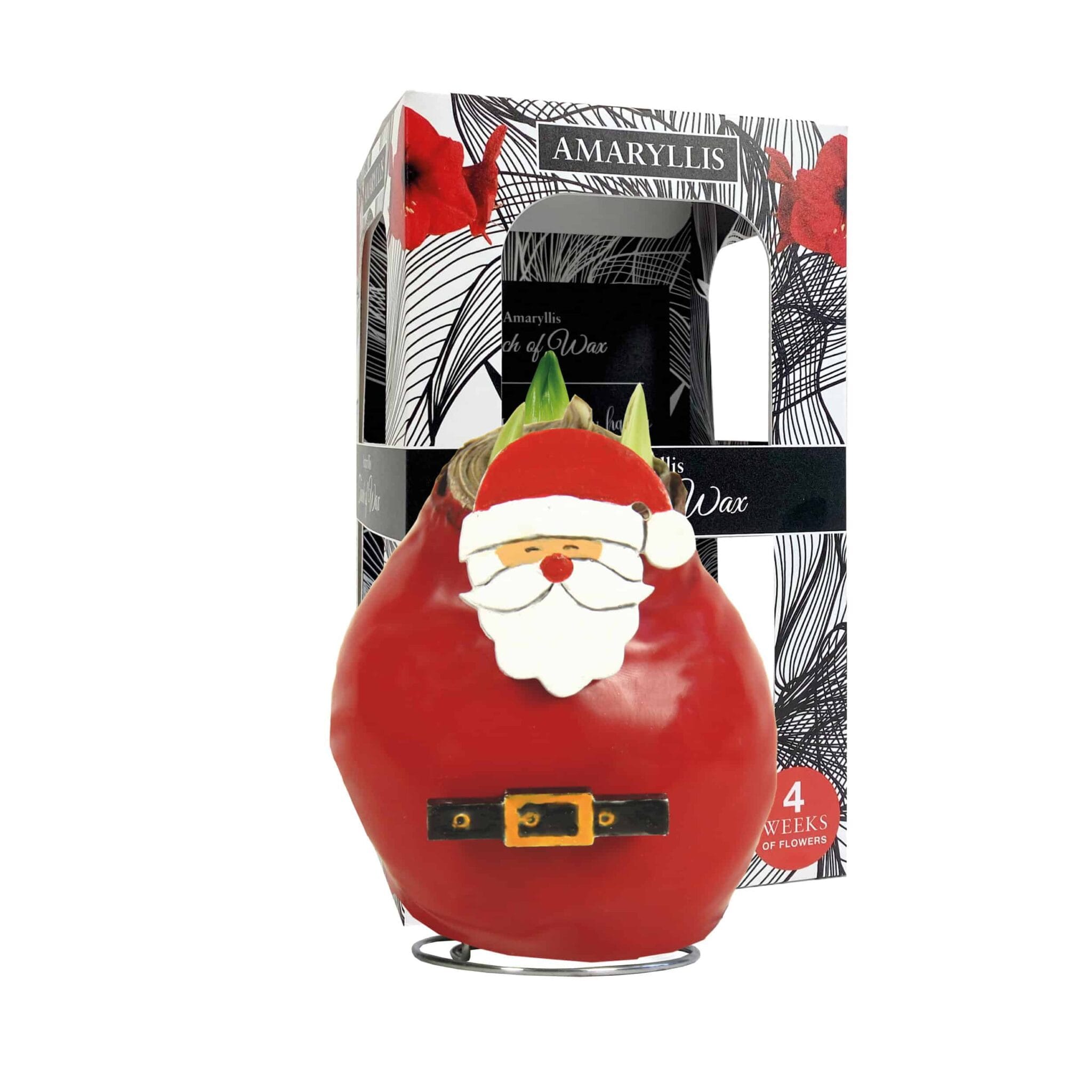 SE/05 in carton gift box / red flower