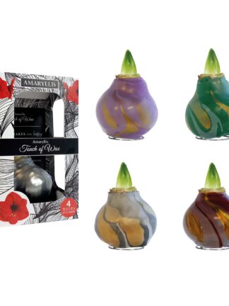 SW/01 mixed colours in carton gift box / red flower