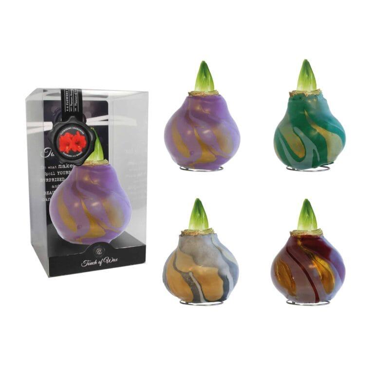 SW/01 mixed colours in PET gift box / red flower