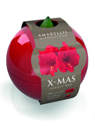 X-Mas Ball red