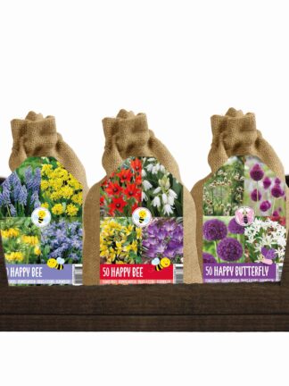 Display Happy bee & butterfly Mixed 48