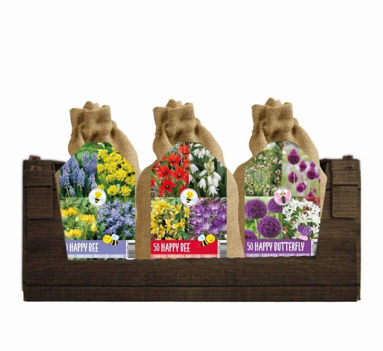 Display Happy bee & butterfly Mixed 48
