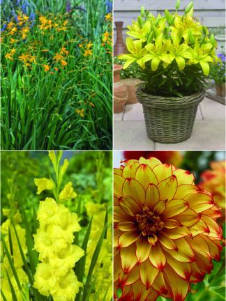 Colour yellow mix