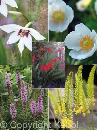 Happy Bee & Butterfly Mix 1