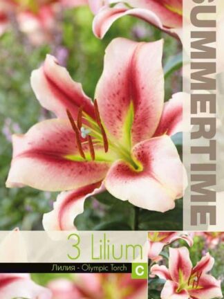 Lilium Olympic Torch - RB