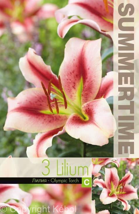 Lilium Olympic Torch - RB