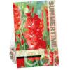 Gladiolus Traderhorn