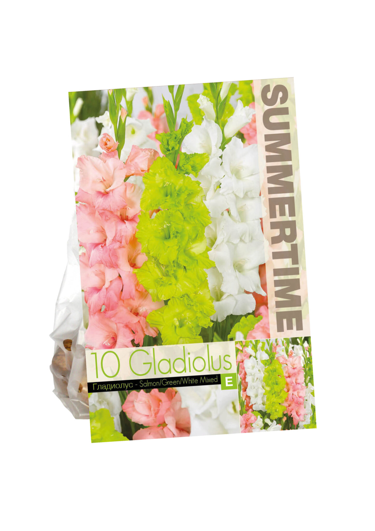 Gladiolus Salmon/Green/White Mixed