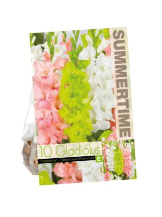 Gladiolus Salmon/Green/White Mixed