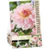 Dahlia Fairway Pilot