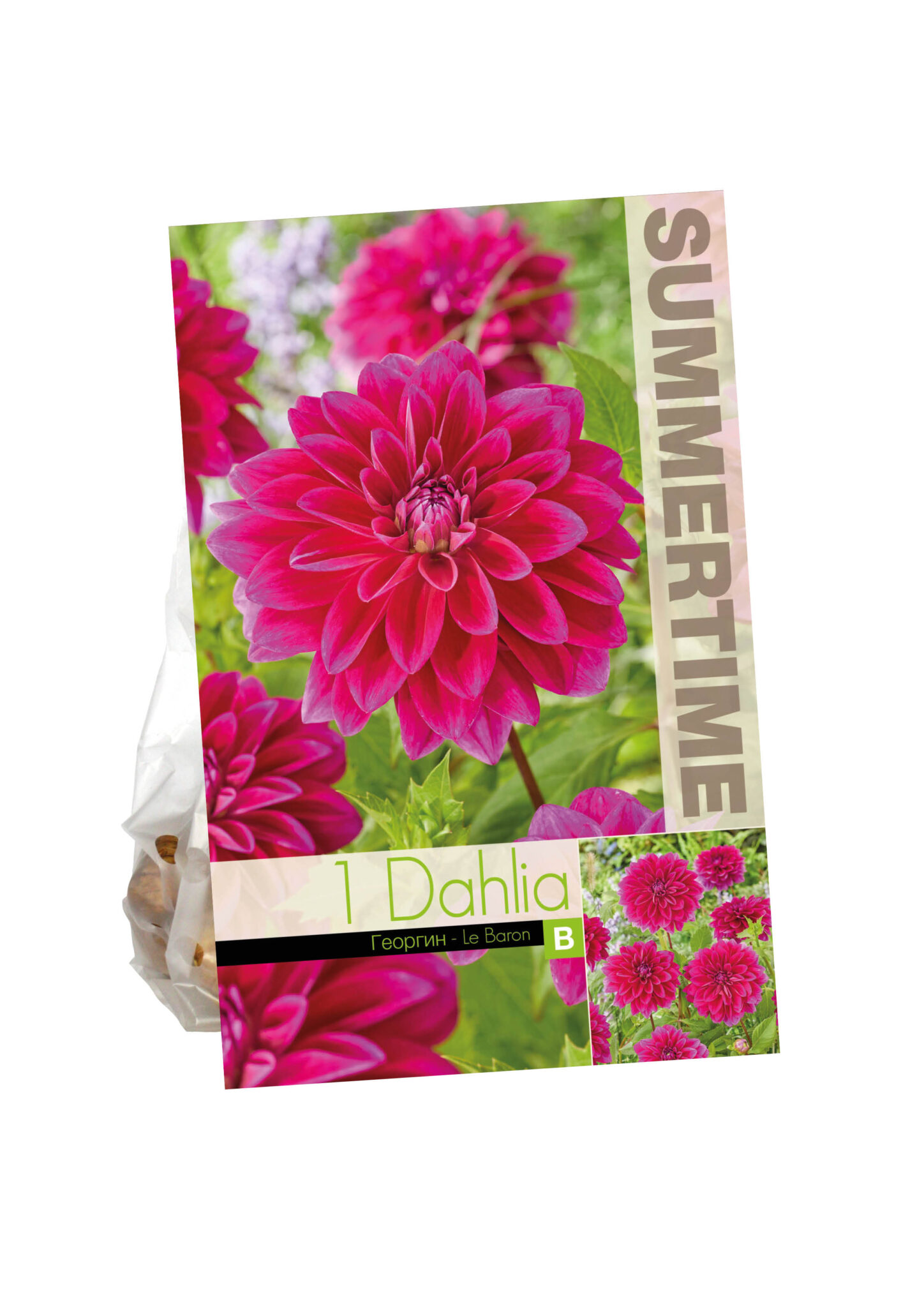 Dahlia Le Baron