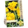 Canna Richard Wallace