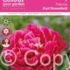 Paeonia Karl Rosenfield