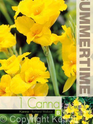 Canna Richard Wallace