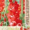 Gladiolus Traderhorn - RB