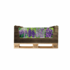 Display Economy displaybox Blue