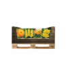 Display Economy displaybox Yellow/Orange