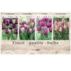 Showbox Tulipa 106658
