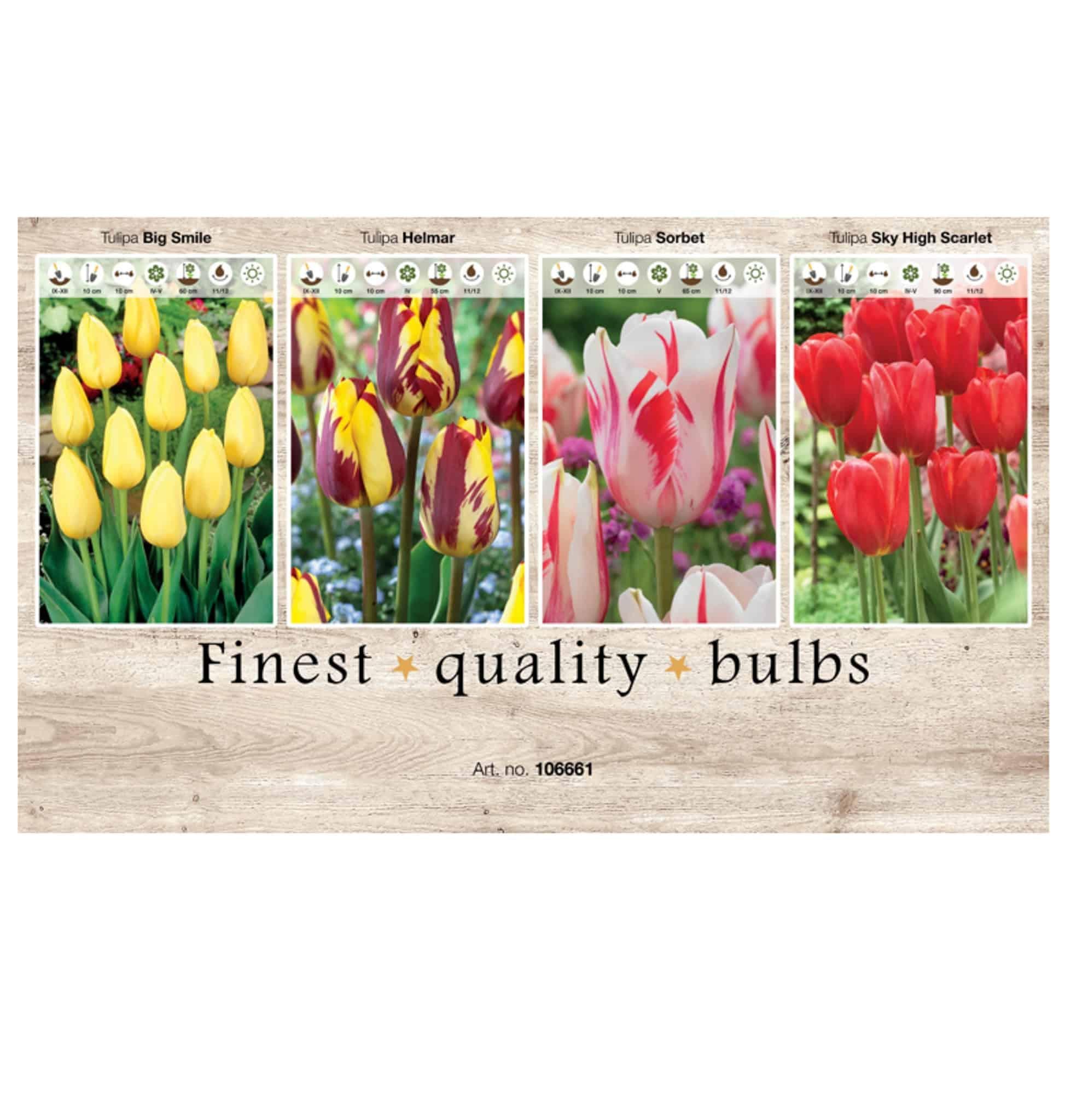 Showbox Tulipa 106661
