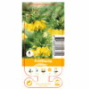Nature Fritillaria Imp. Lutea