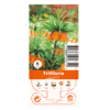 Nature Fritillaria Imp. Rubra