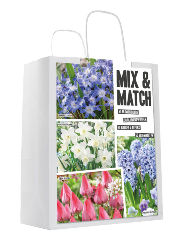 Mixed&Match Blue/Pink