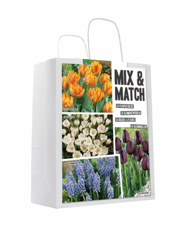 Mixed&Match Orange/Black