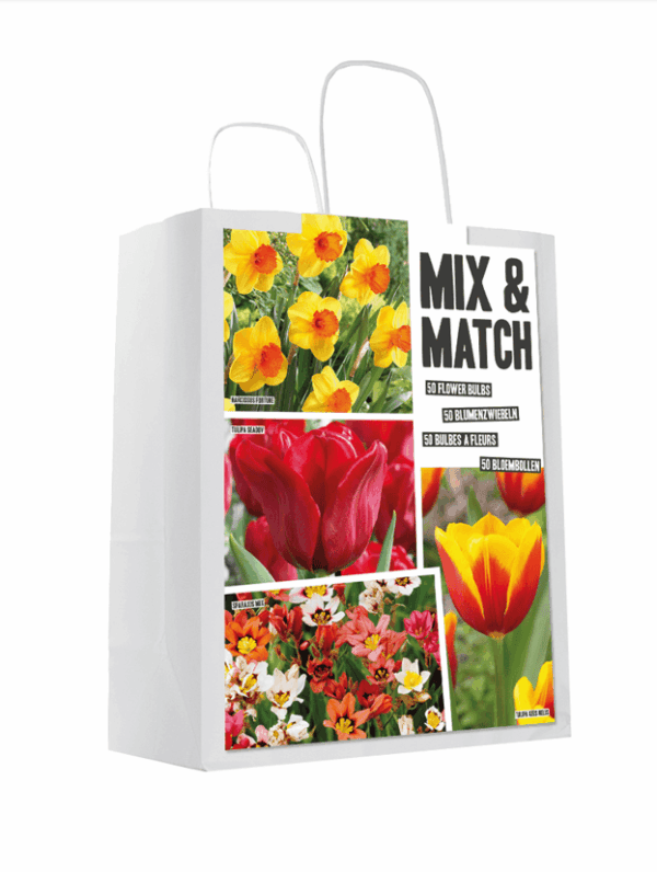 Mixed&Match Red/Yellow