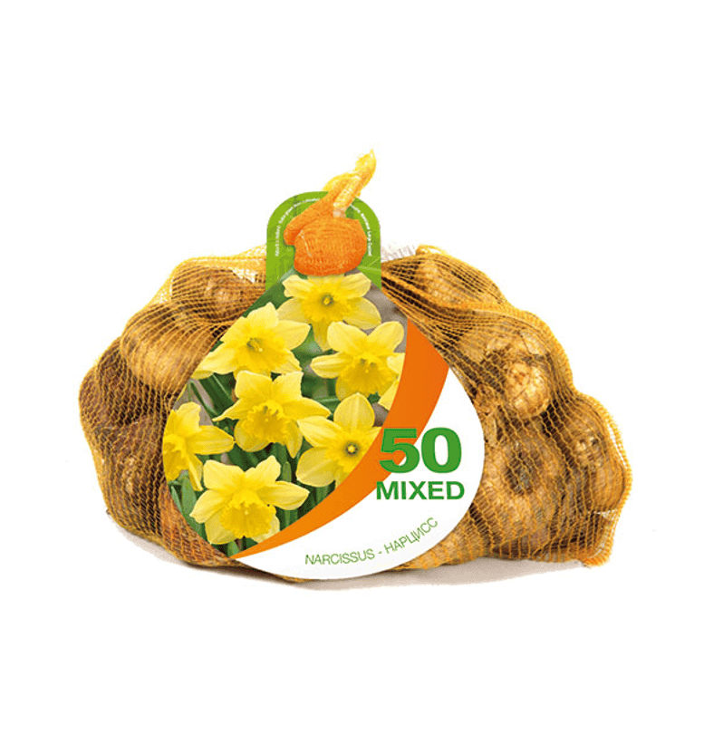 Narcissus Carlton Bonus Bag