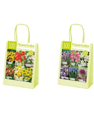 XL-Spring Collection Mixed