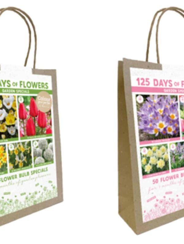 Colour your Garden 125 Days Garden Mixed