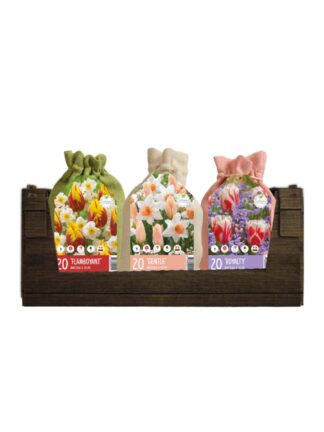 Colour your Garden Jute Mixed II