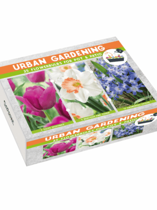 Urban Gardening Orange