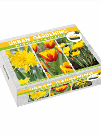 Urban Gardening Yellow