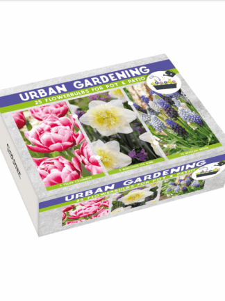 Urban Gardening Blue