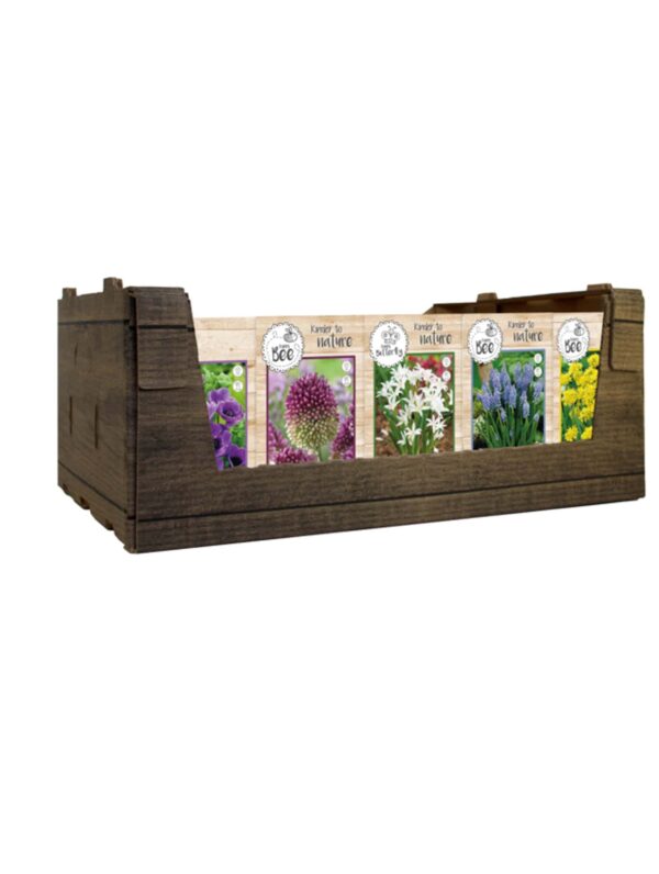 Happy Bee & Butterfly Mixed Assortment