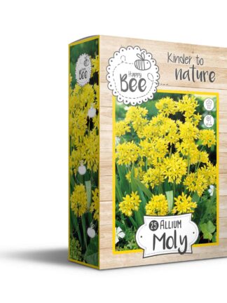 Happy Bee Allium Moly