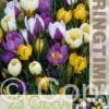Crocus Botanical Mixed - RB