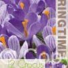 Crocus Blue/White - RB